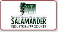 Logo salamander